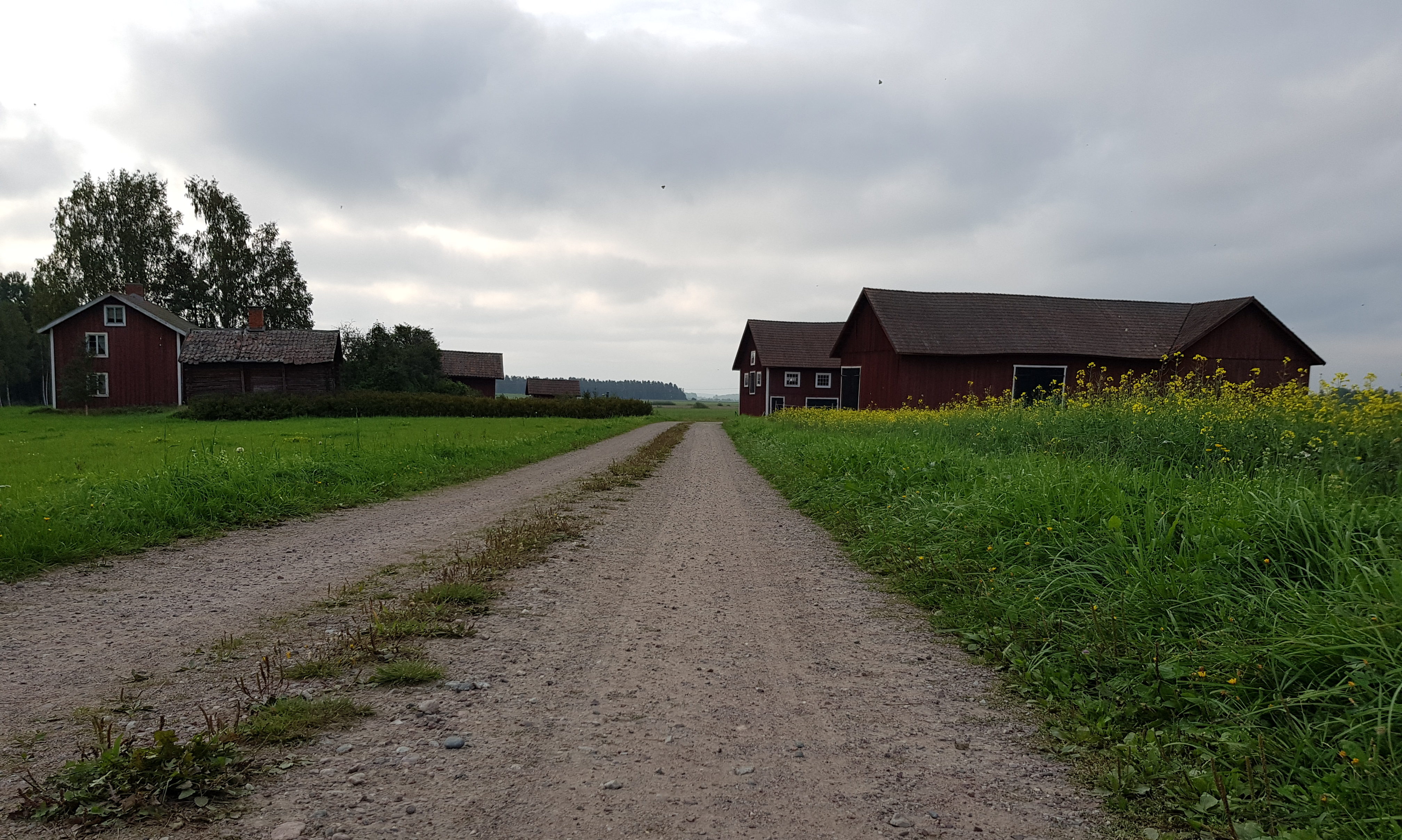 cropped-20180908_094955-2.jpg