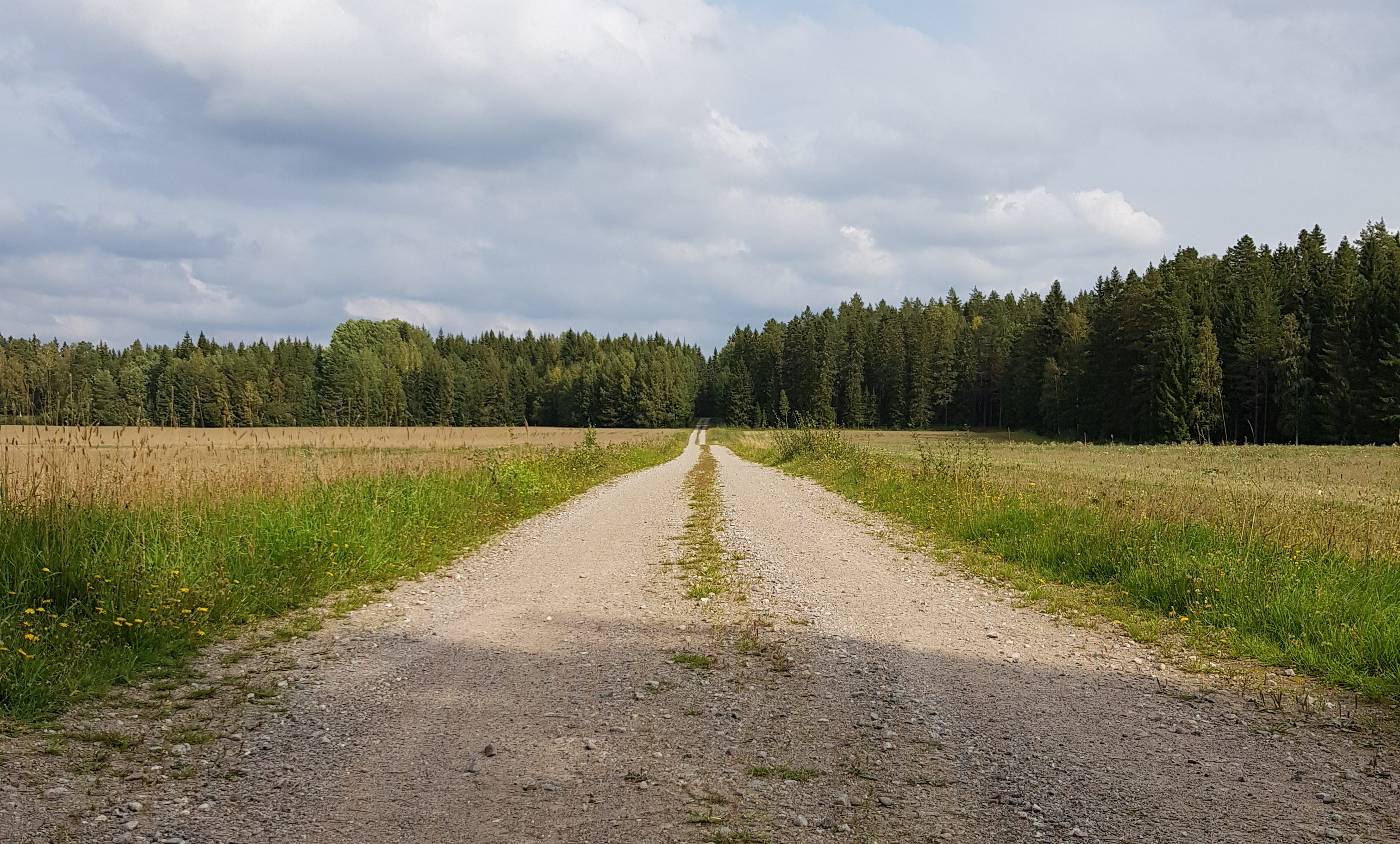 cropped-20180908_133541-e1536411388122-2.jpg