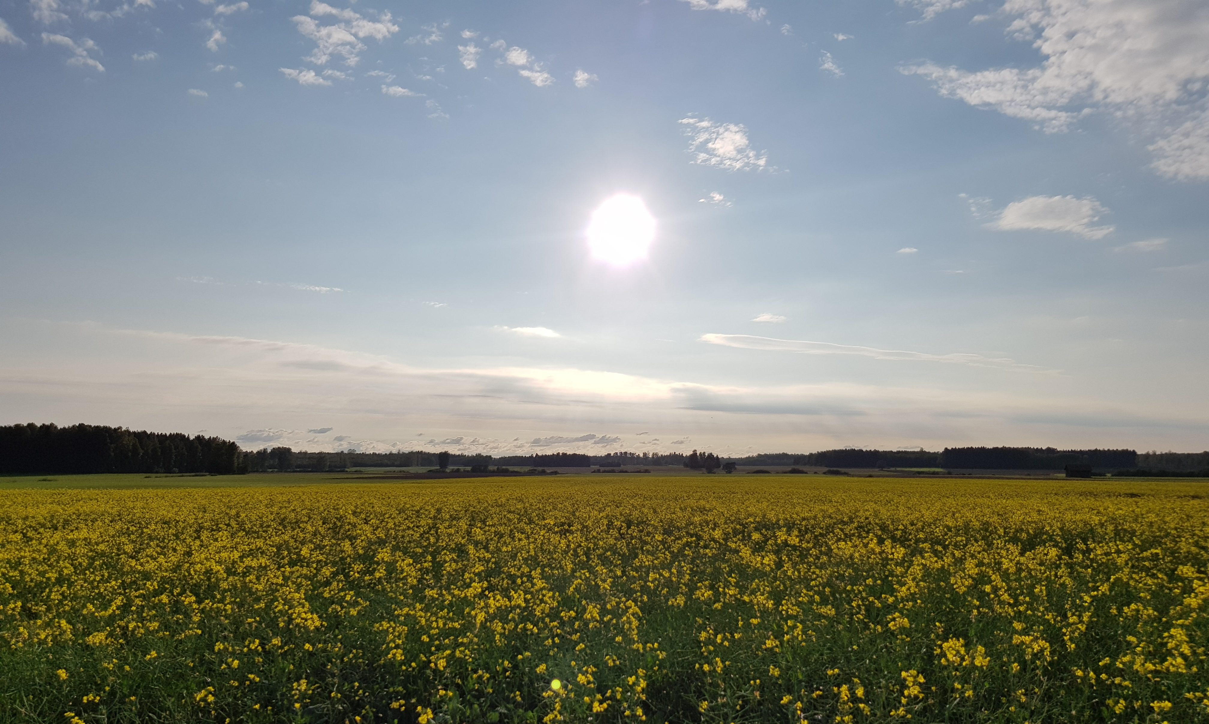 cropped-20180908_173539-4.jpg